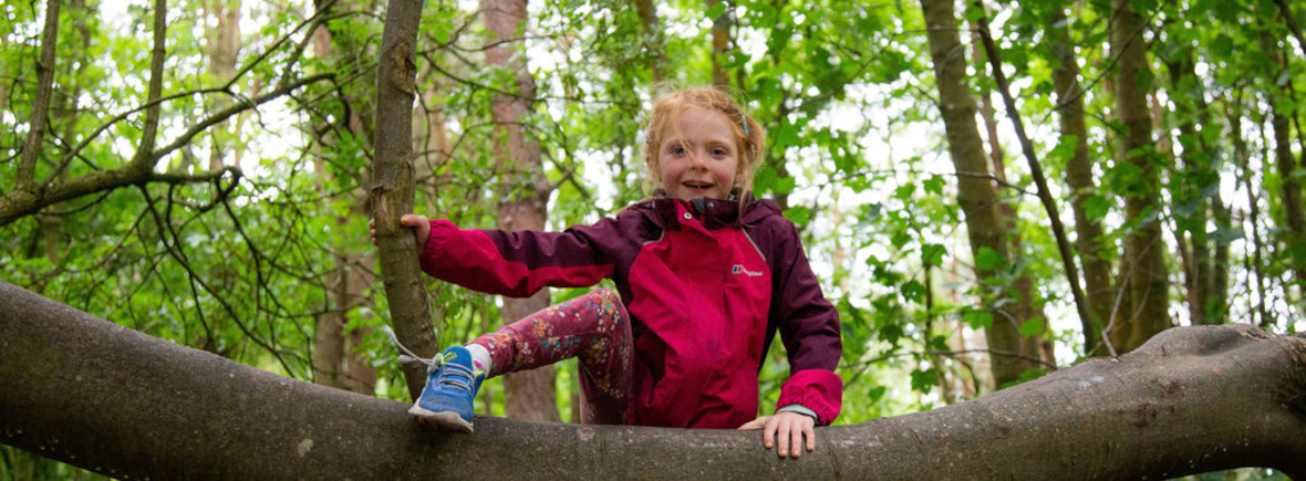 Photograph of a child around 5 years old, smiling and climbing a tree with a woodland backdrop