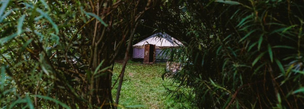 Photograph of the Secret Garden yurt seen through a willow tree arch